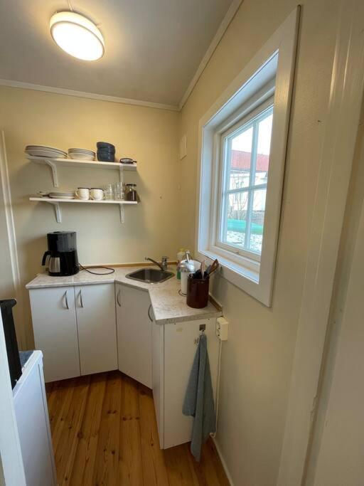 Apartament With Access To Garden, Central, Quiet And With Free Parking Fredrikstad Exterior foto
